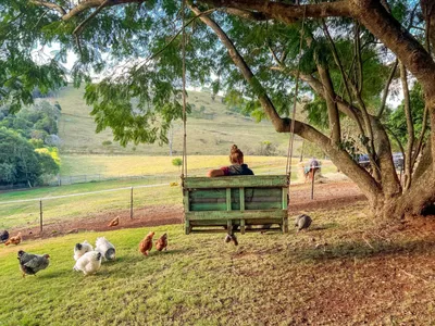 Search and Stay destination Beechmont, QLD - Australia from AU$ 550. Doomben Ridge Farm House