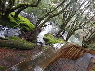 Search and Stay destination Moina, TAS - Australia from AU$ 160. Hartz Cottage