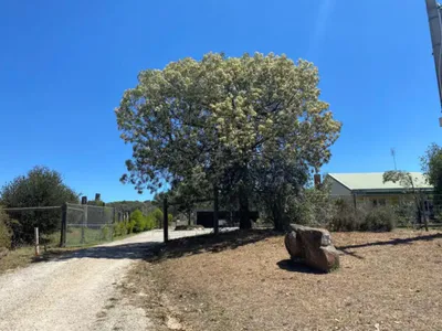 Search and Stay destination Mandurang South, VIC - Australia from AU$ 350. Blue Wren Cottage