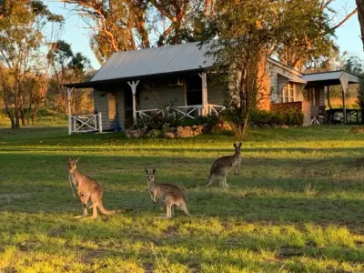 Search and Stay destination Ballandean, QLD - Australia from AU$ 350. Blue Wren Cottage, open fireplace, vineyard views!