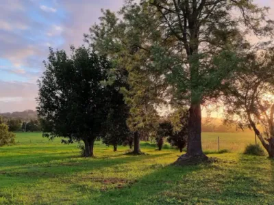 Search and Stay destination Vacy, NSW - Australia from AU$ 189. Vacy Hunter Valley Lodge - Triple Room