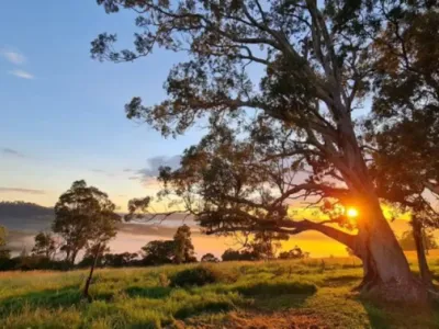 Search and Stay destination Vacy, NSW - Australia from AU$ 189. Vacy Hunter Valley Lodge - Triple Room