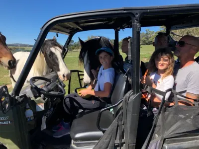 Search and Stay destination Norway, NSW - Australia from AU$ 240. High country trail rides & farm stay - 3 bedroom cabin