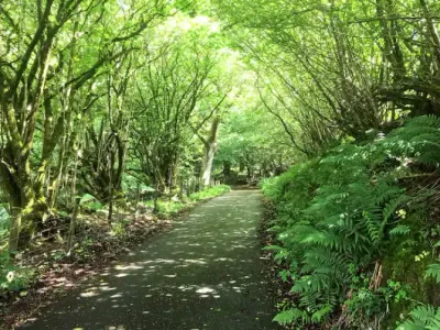 Search and Stay destination Dolau, Wales - United Kingdom from AU$ 238. Drovers Retreat Holiday Cottage