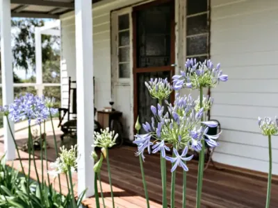 Search and Stay destination Somerville, VIC - Australia from AU$ 250. Jack Cottage