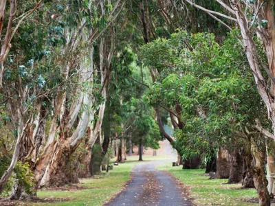 Search and Stay destination Ob Flat, SA - Australia from AU$ 237. Avocado Chalet