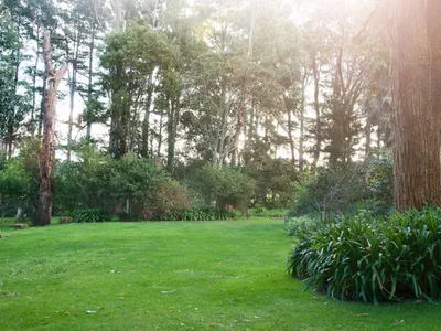 Search and Stay destination Ob Flat, SA - Australia from AU$ 180. Studio Chalet