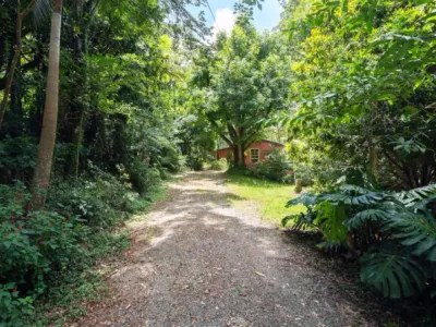 Search and Stay destination Mount Glorious, QLD - Australia from AU$ 205. Turkey's Nest - White Gum Cottage