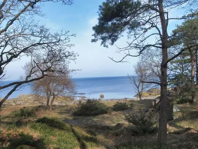Search and Stay destination Svaneke, Denmark from AU$ 1,000. "Lätizia" - 300m from the sea in Bornholm