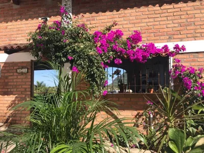 Search and Stay destination Lo de Marcos, Nay. - Mexico from AU$ 233. Casa Pajaritos Amazing Views of Lo de Marcos