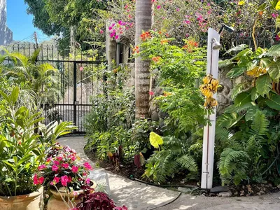 Search and Stay destination Lo de Marcos, Nay. - Mexico from AU$ 233. Casa Pajaritos Amazing Views of Lo de Marcos