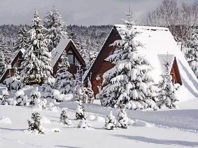 Search and Stay destination Tennenbronn, BW - Germany from AU$ 141. Tennenbronn