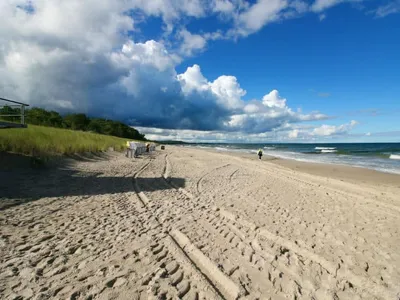 Search and Stay destination Zempin, MV - Germany from AU$ 221. Düneneck
