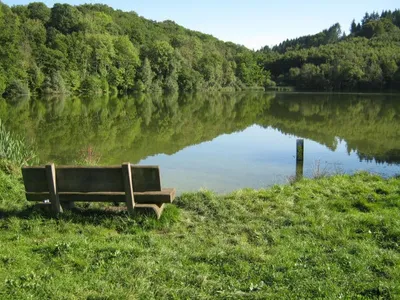 Search and Stay destination Immerath, RP - Germany from AU$ 1,059. Eifelnatur (Haus 1)