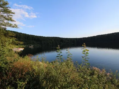 Search and Stay destination Immerath, RP - Germany from AU$ 1,059. Eifelnatur (Haus 1)