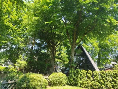 Search and Stay destination Clausthal-Zellerfeld, NDS - Germany from AU$ 261. Hexenhaus im Harz
