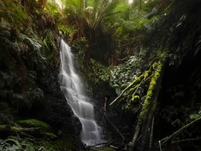 Search and Stay destination Tanybryn, VIC - Australia from AU$ 230. Cottage with private Rainforest and Waterfalls