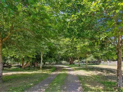 Search and Stay destination Tanybryn, VIC - Australia from AU$ 230. Cottage with private Rainforest and Waterfalls