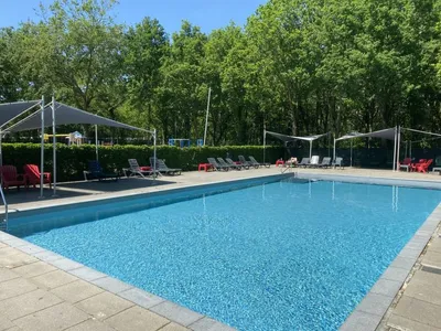 Search and Stay destination Udenhout, NB - Netherlands from AU$ 510. Duinhoeve