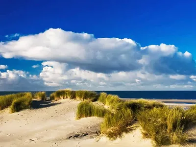 Search and Stay destination Wissenkerke, ZE - Netherlands from AU$ 304. Resort de Vlasschure