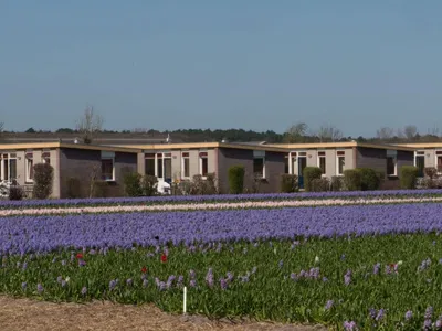 Search and Stay destination Noordwijkerhout, ZH - Netherlands from AU$ 127. De Wijde Blick
