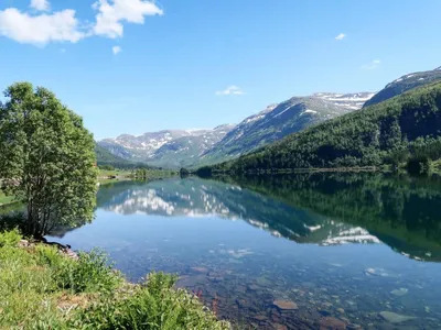 Search and Stay destination Haukedalen, Vestland - Norway from AU$ 93. Haukedalspanorama (FJS257)
