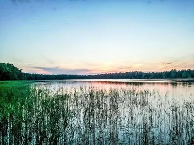 Search and Stay destination Smołdziński Las, Pomorskie - Poland from AU$ 198. "Modrzewiowy Zakątek"