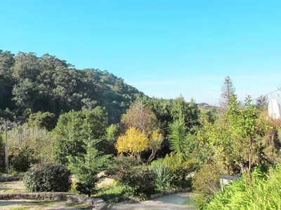 Search and Stay destination Colares, Lisbon - Portugal from AU$ 378. Oliveiras House (CLE150)