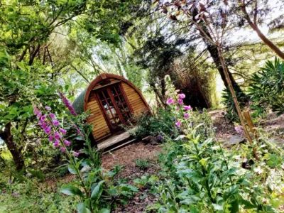 Search and Stay destination Saint Mellion, England - United Kingdom from AU$ 198. 'Wollemia' The Peaceful Pod