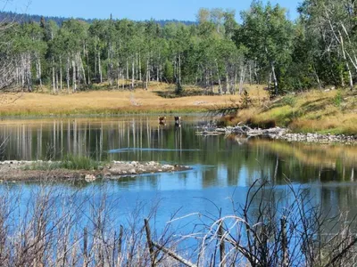 Search and Stay destination Cariboo, BC - Canada from AU$ 202. Cabin 7 Lagoon View
