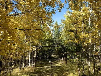 Search and Stay destination Cariboo, BC - Canada from AU$ 202. Cabin 7 Lagoon View