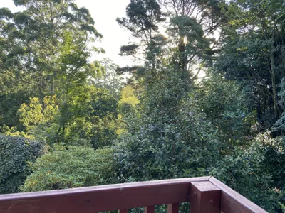 Search and Stay destination Olinda, VIC - Australia from AU$ 100. Cosy Room for 2 in Olinda Village - Cedar Suite