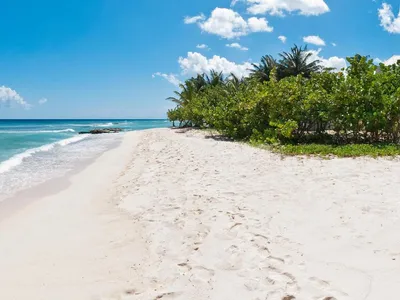 Search and Stay destination Weston, Saint James - Barbados from AU$ 1,046. Palm Beach 111, beachfront
