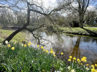 Search and Stay destination Norfolk, England - United Kingdom from AU$ 312. River Rose