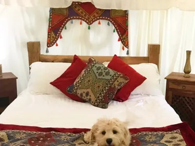 Search and Stay destination West Sussex, England - United Kingdom from AU$ 289. Family Friendly Mongolian Yurt Glamping