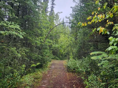 Search and Stay destination Yellowhead County, AB - Canada from AU$ 299. Rocky Mountain Escape