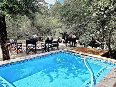 Search and Stay destination Marloth Park, MP - South Africa from AU$ 300. LuxuryGuesthouseCo@TreasureHouse