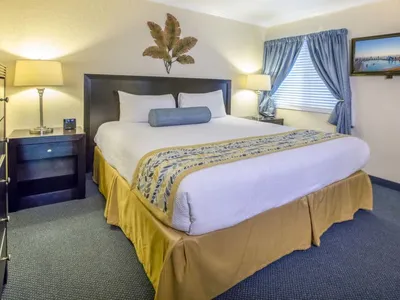 Search and Stay destination Tampa, FL - United States from AU$ 550. Tampa Waterfront