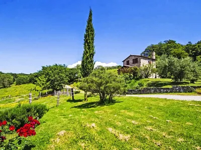 Search and Stay destination Scansano, Toscana - Italy from AU$ 253. Casalini