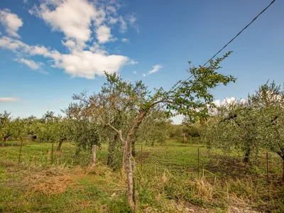 Search and Stay destination San Vito Chietino, Abruzzo - Italy from AU$ 80. Di Italia