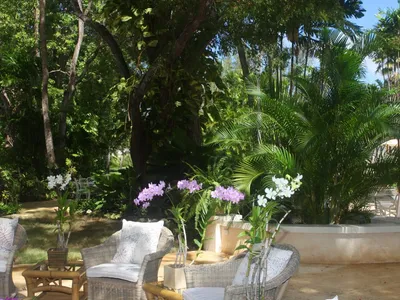 Search and Stay destination Saint James - Barbados from AU$ 6,468. Heronetta villa, beachfront