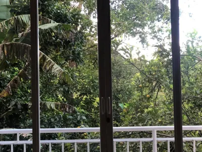 Search and Stay destination C.p Nuevo Tingo, Amazonas - Peru from AU$ 260. Zoila' Suite Escape - Deluxe Family Queen Room