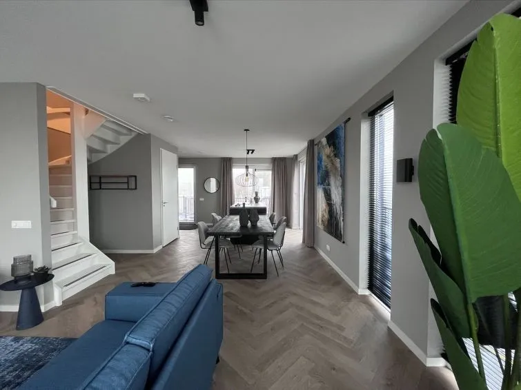 Search and Stay, undefined in undefined. Gallery position 2