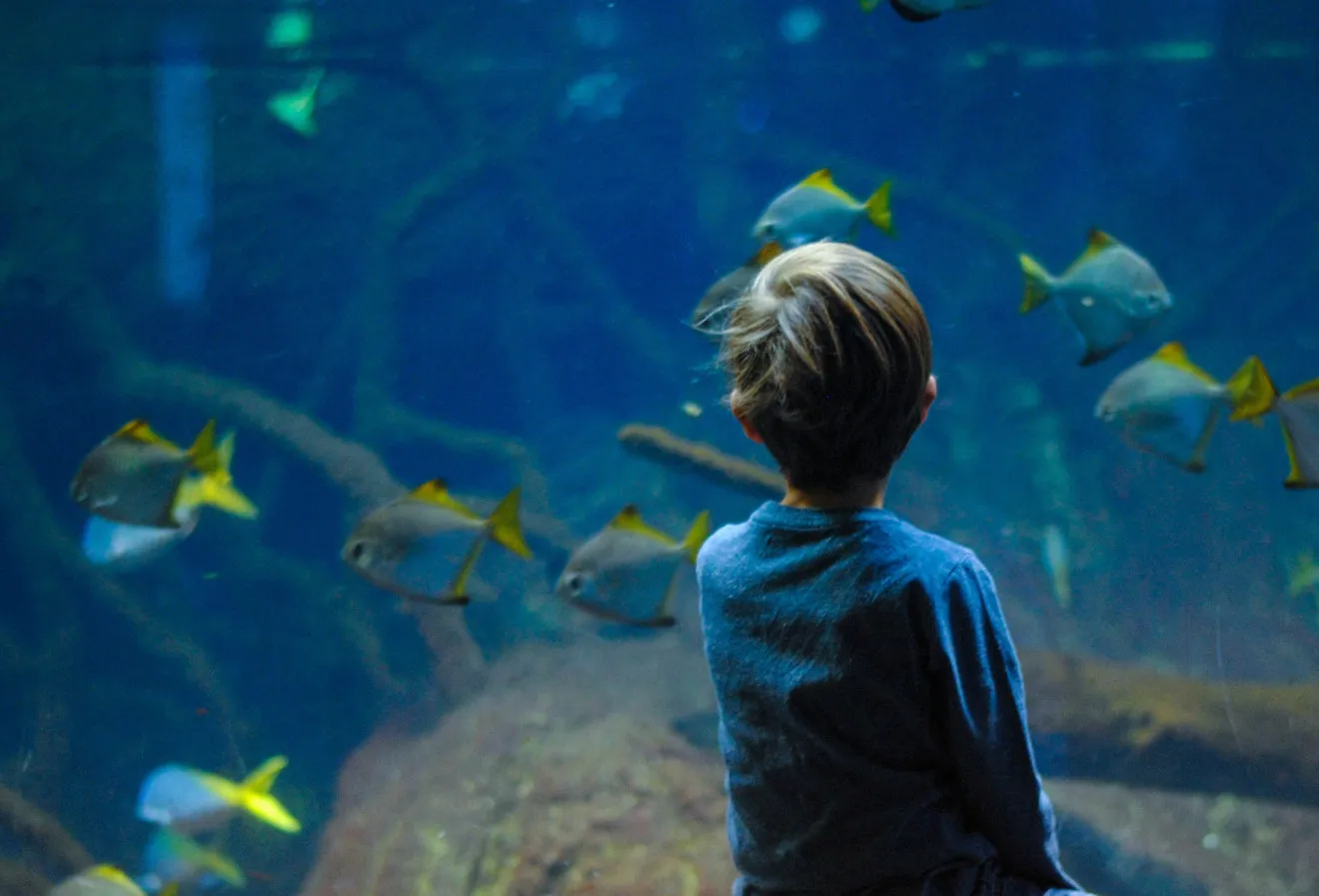 Image blog Top 10 Family Friendly Holiday Destinations in Australia
