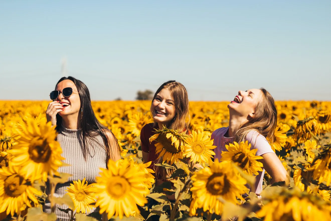 Image blog Why Search and Stay Holiday Rental Platform?
