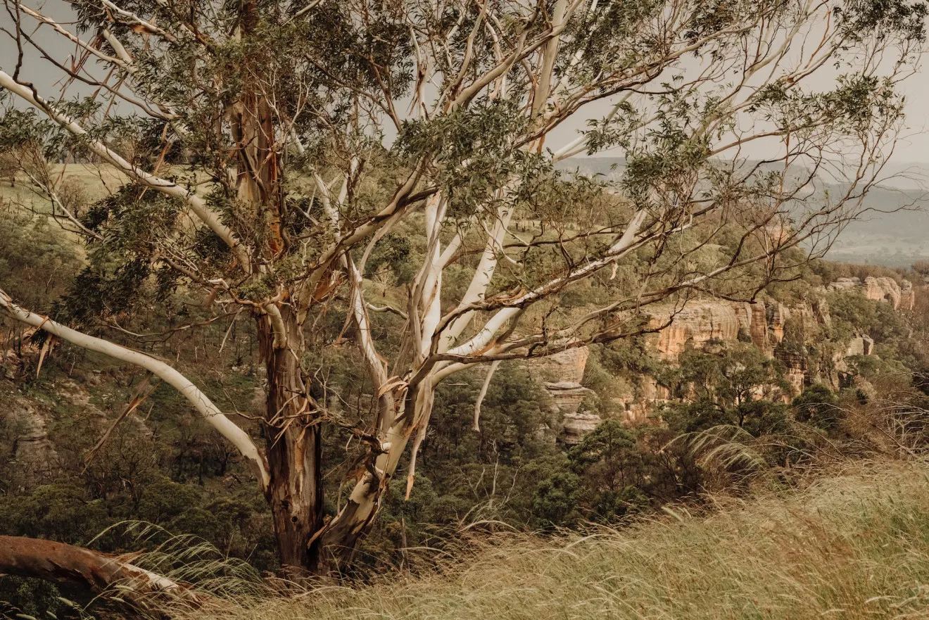 Image blog Capertee: Australia's Most Underrated, Natural Beauty Spot
