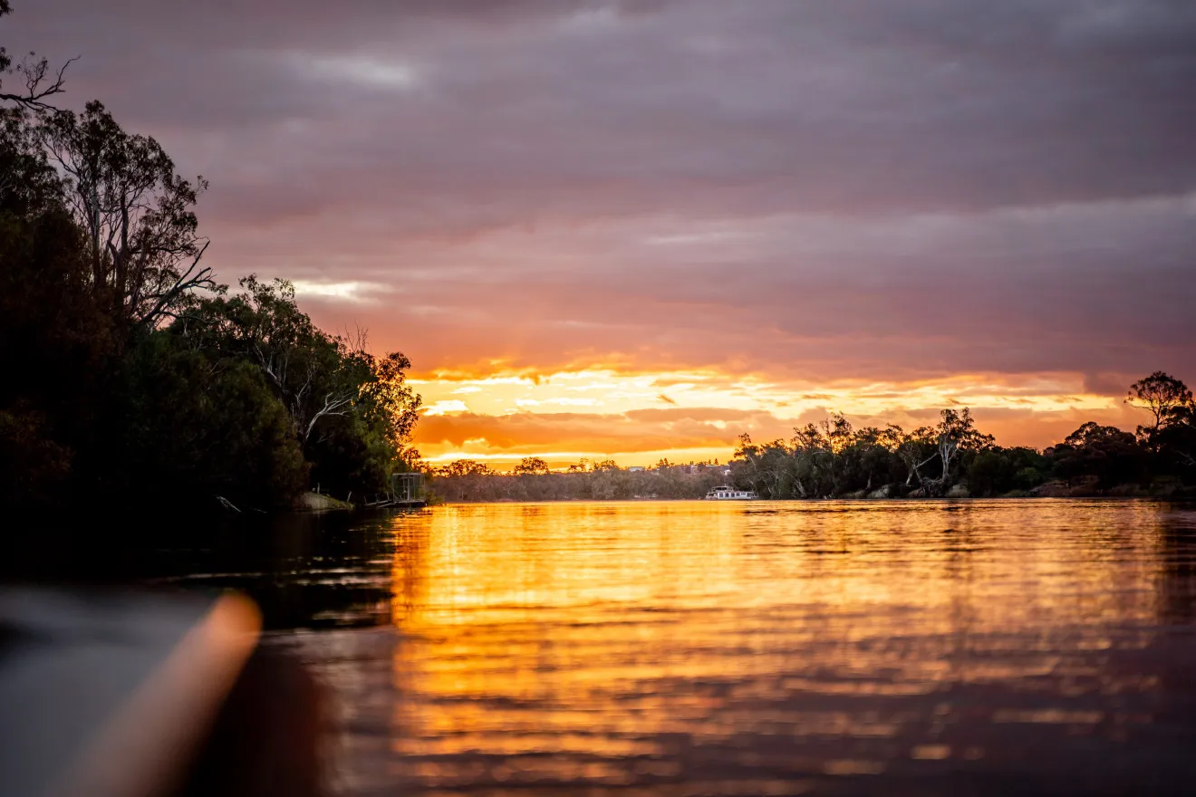 Image blog Discover the Murray River with Search and Stay: A Guide to Riverland Adventures