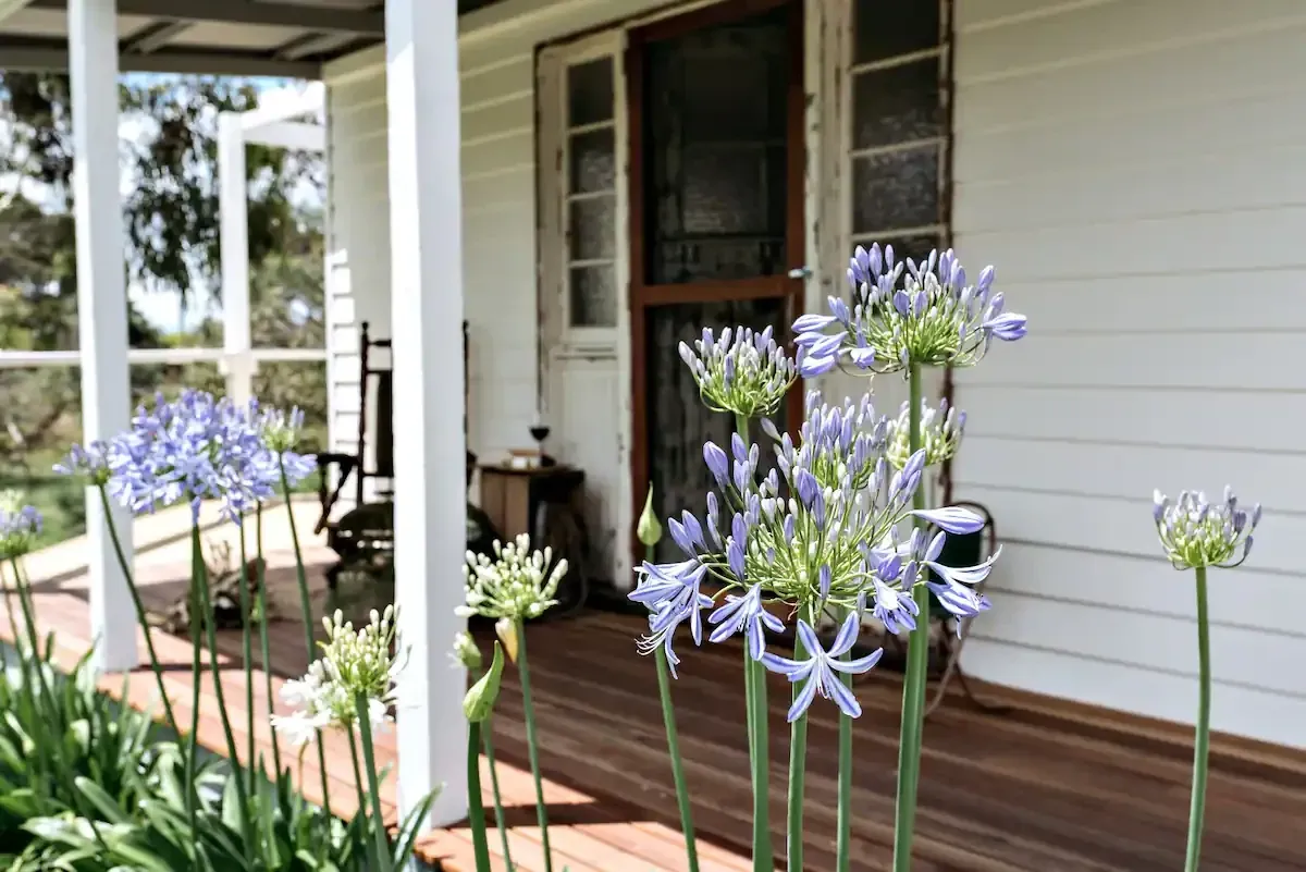Image blog What Makes Somerville, VIC, Australia a Great Place to Live