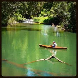 Image blog Hidden Gems of Malanda, QLD, Australia: Places Only Locals Know
