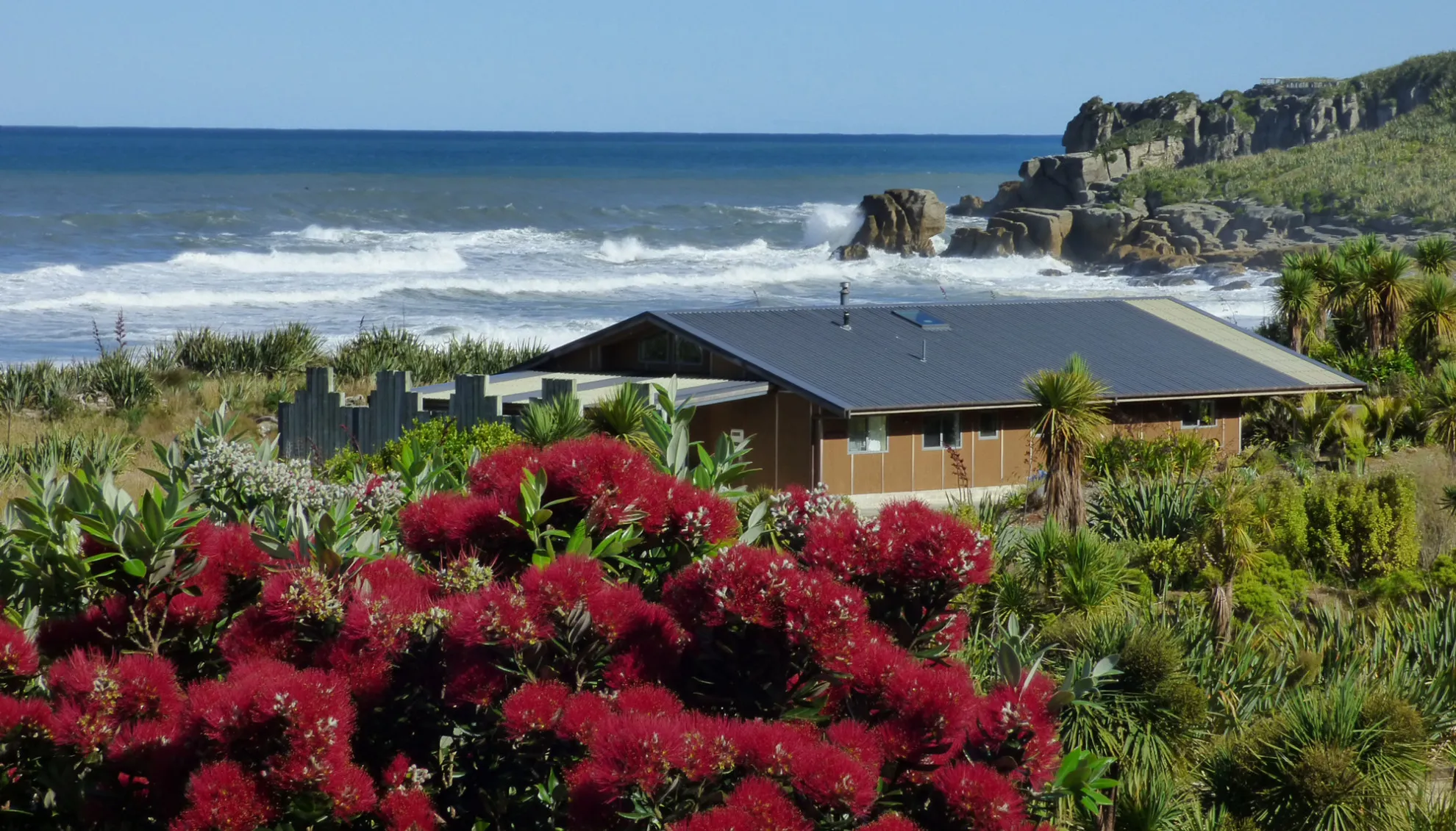 Image blog The Best Hiking and Camping Spots in West Coast, New Zealand